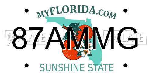 87AMMG Florida License Plate