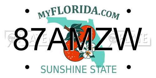 87AMZW Florida License Plate