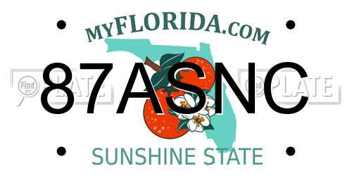 87ASNC Florida License Plate