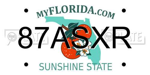 87ASXR Florida License Plate