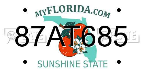 87AT685 Florida License Plate
