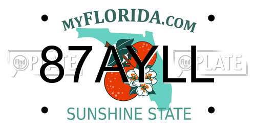 87AYLL Florida License Plate