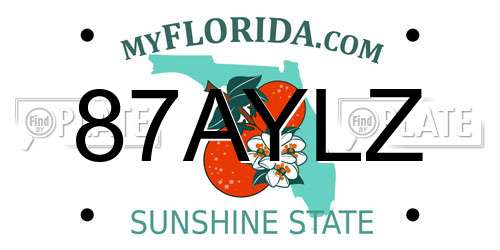 87AYLZ Florida License Plate