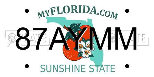 87AYMM Florida License Plate
