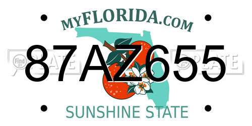 87AZ655 Florida License Plate