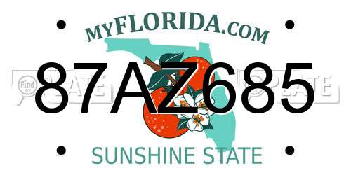 87AZ685 Florida License Plate