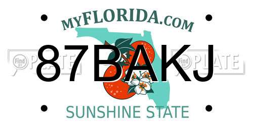 87BAKJ Florida License Plate