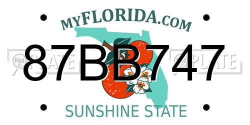 87BB747 Florida License Plate