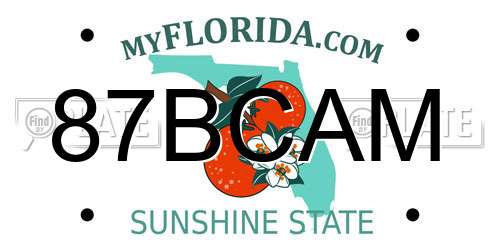 87BCAM Florida License Plate