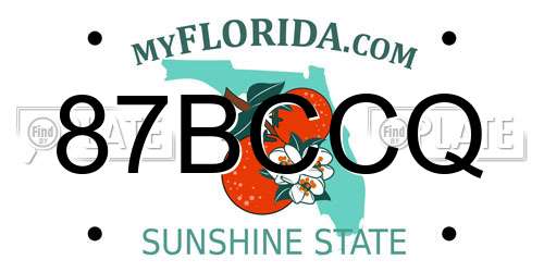 87BCCQ Florida License Plate