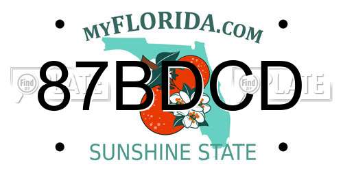 87BDCD Florida License Plate