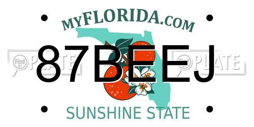 87BEEJ Florida License Plate