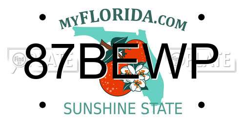 87BEWP Florida License Plate