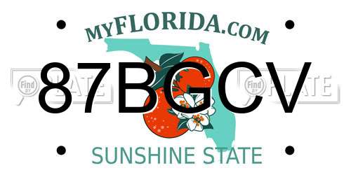 87BGCV Florida License Plate