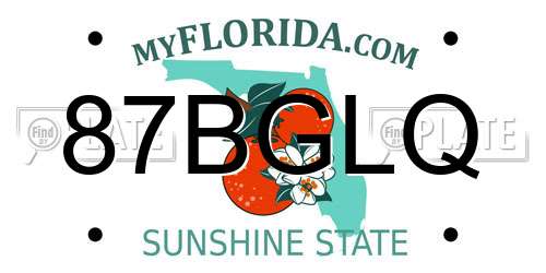 87BGLQ Florida License Plate