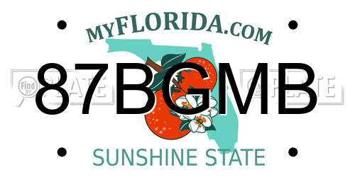 87BGMB Florida License Plate
