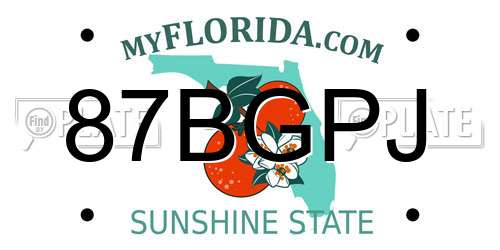 87BGPJ Florida License Plate