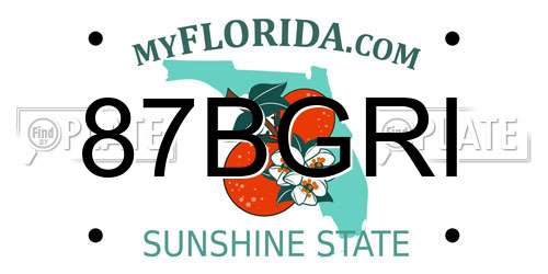 87BGRI Florida License Plate