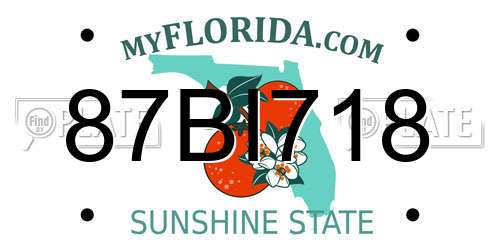 87BI718 Florida License Plate