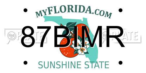 87BIMR Florida License Plate