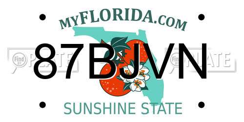 87BJVN Florida License Plate