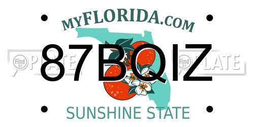87BQIZ Florida License Plate