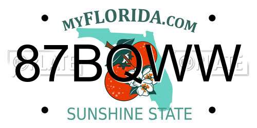 87BQWW Florida License Plate