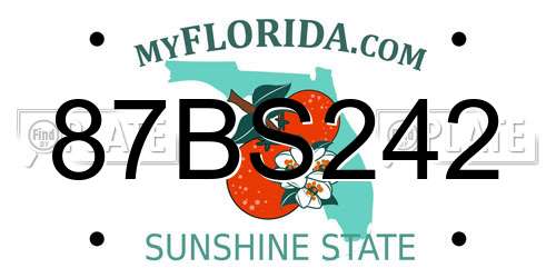 87BS242 Florida License Plate