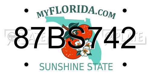 87BS742 Florida License Plate