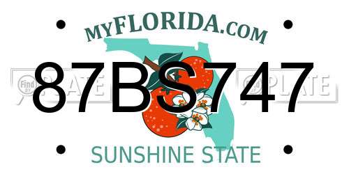 87BS747 Florida License Plate