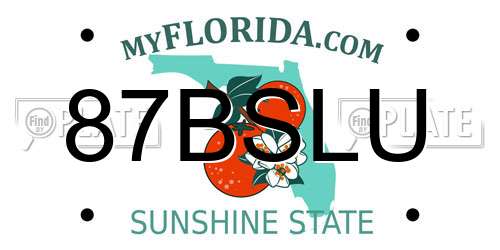 87BSLU Florida License Plate