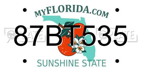 87BT535 Florida License Plate