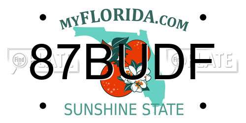 87BUDF Florida License Plate