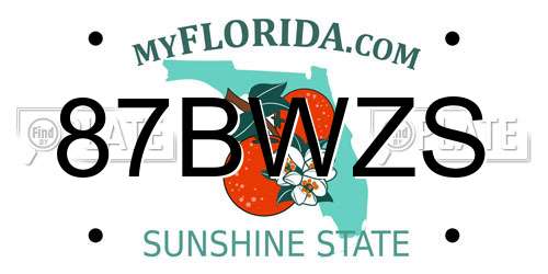 87BWZS Florida License Plate