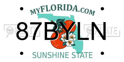 87BYLN Florida License Plate