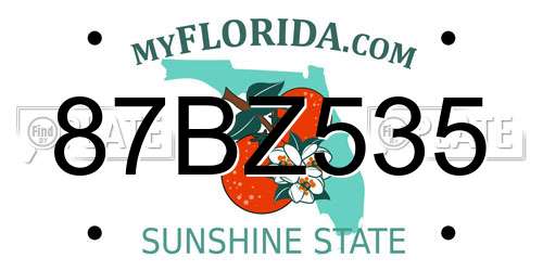 87BZ535 Florida License Plate