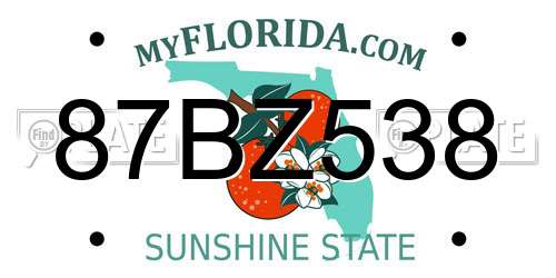 87BZ538 Florida License Plate