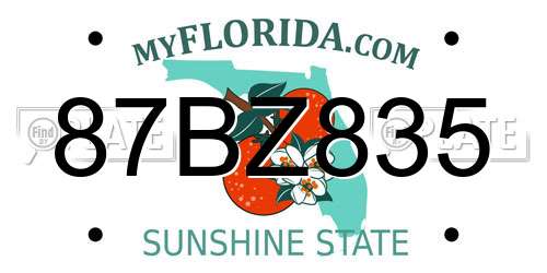 87BZ835 Florida License Plate
