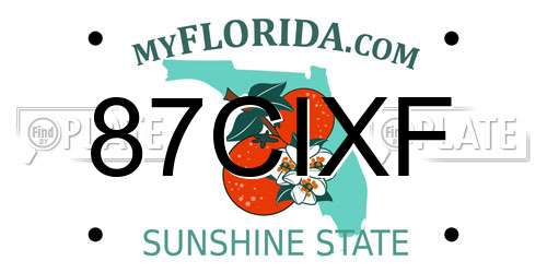 87CIXF Florida License Plate