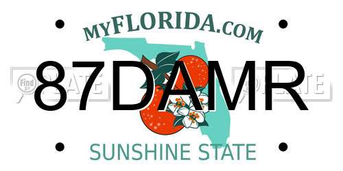 87DAMR Florida License Plate