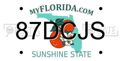 87DCJS Florida License Plate