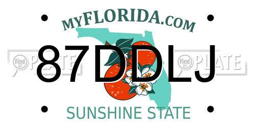 87DDLJ Florida License Plate