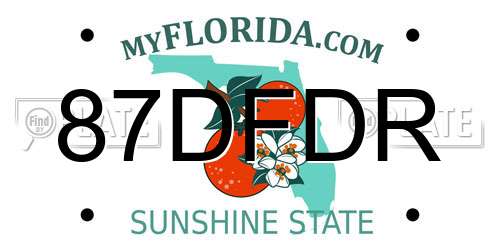 87DFDR Florida License Plate