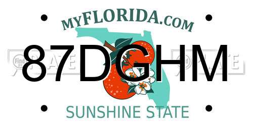87DGHM Florida License Plate