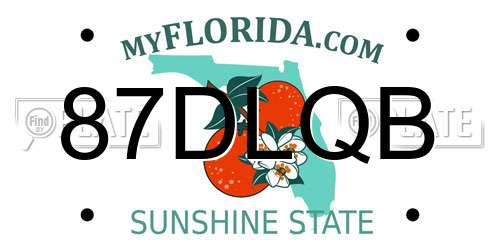 87DLQB Florida License Plate