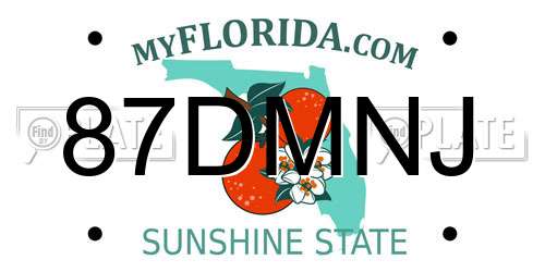 87DMNJ Florida License Plate