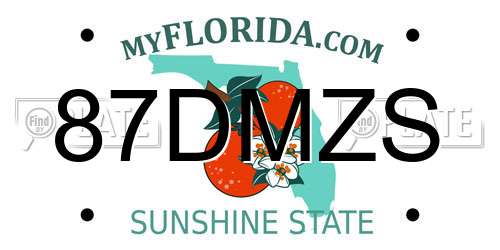 87DMZS Florida License Plate