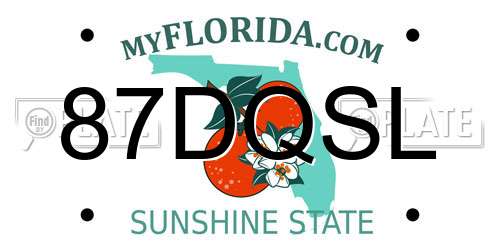 87DQSL Florida License Plate