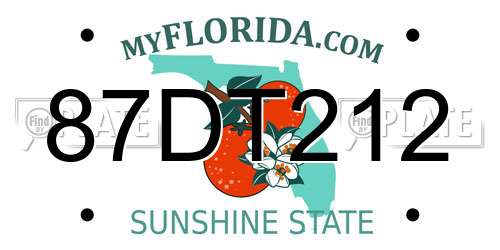 87DT212 Florida License Plate