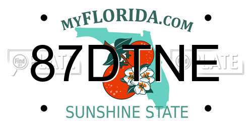 87DTNE Florida License Plate